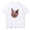 Cat Meme Style Women's Short Sleeved Tshirt with Fun Patternscomfortable and Soft Casual Tshirtfun Daily Wear Tshirt