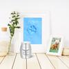 Small Cremation Urn for Pet Ashes   Pet Keepsake Urn Stainless Steel Memorial Keepsake Urns for Dogs Cats Ashes Holder