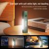 Philips SFL6257GR Rechargeable Flashlight