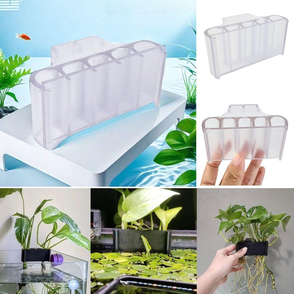 Glass Pot Water Plant Landscape Plant Cultivation Rack Storage Rack Fish Tank Emerging Plant Holder