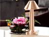 Metal Lamp A12 Copper (30) Gab_B