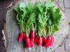 W1022 SEVEN-YEAR ONION BAIKAL TASTY AROMATIC CHIVES Allium fistulosum . 3G