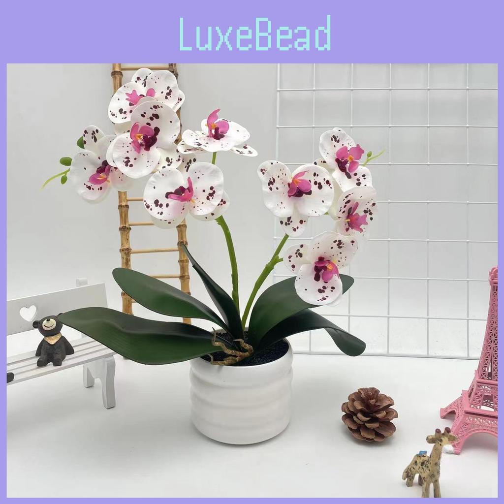 Phalaenopsis Artificial Flower Plant Pot For Wedding Decor And Photography Indoor Outdoor Display