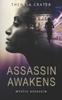 Книга Assassin Awakens : 1