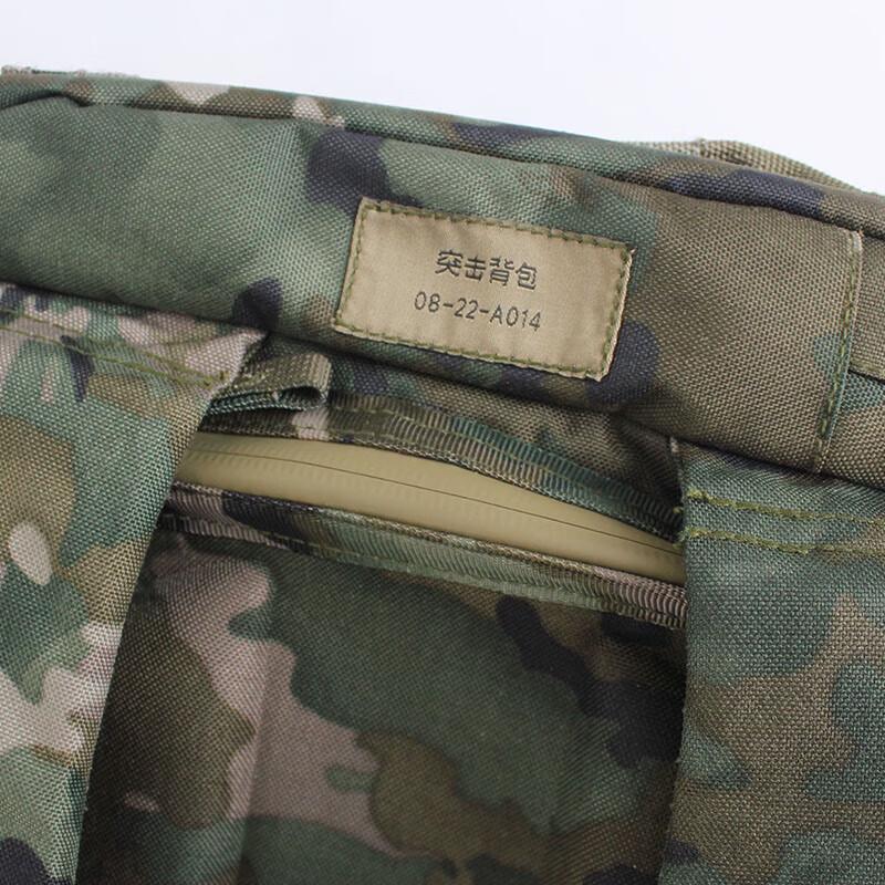Jungle Fox Tactical Assault Backpack