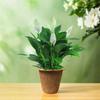 3pcs Biodegradable Nursery Pots Natural Plant Containers Pots Plant Seedling Cups  Garden Supplies