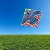 Manufacturer 1 Meter Printed Multi-tail Kite Triangular Kite Handmade