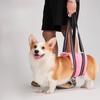 Собачий вспомогательный ремень, дышащий и удобный реабилитационный нагрудный и спинной ремень для питомца, регулируемый поводок