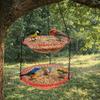 Flower Shaped Bird Bathtub Transparent Hummingbird Feeder Hanging Bird Feeder  Balcony