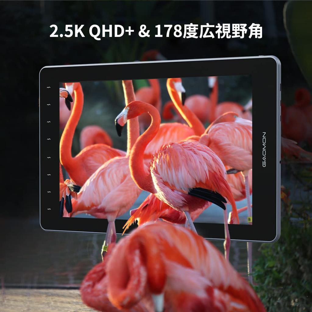 GAOMON PD1610 16-inch 2.5K 120% sRGB Fully Laminated LCD Tablet with Single Cable Connection, 16:10 Aspect Ratio, Anti-Glare Glass, and Metal Stand