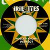 7inch Record PERFECT / SKARRA MUCCI - Nobody Knows / Handz Ina Di Air II7171 Irie Ites EU 2016 Europe Reggae, Ska & Dub