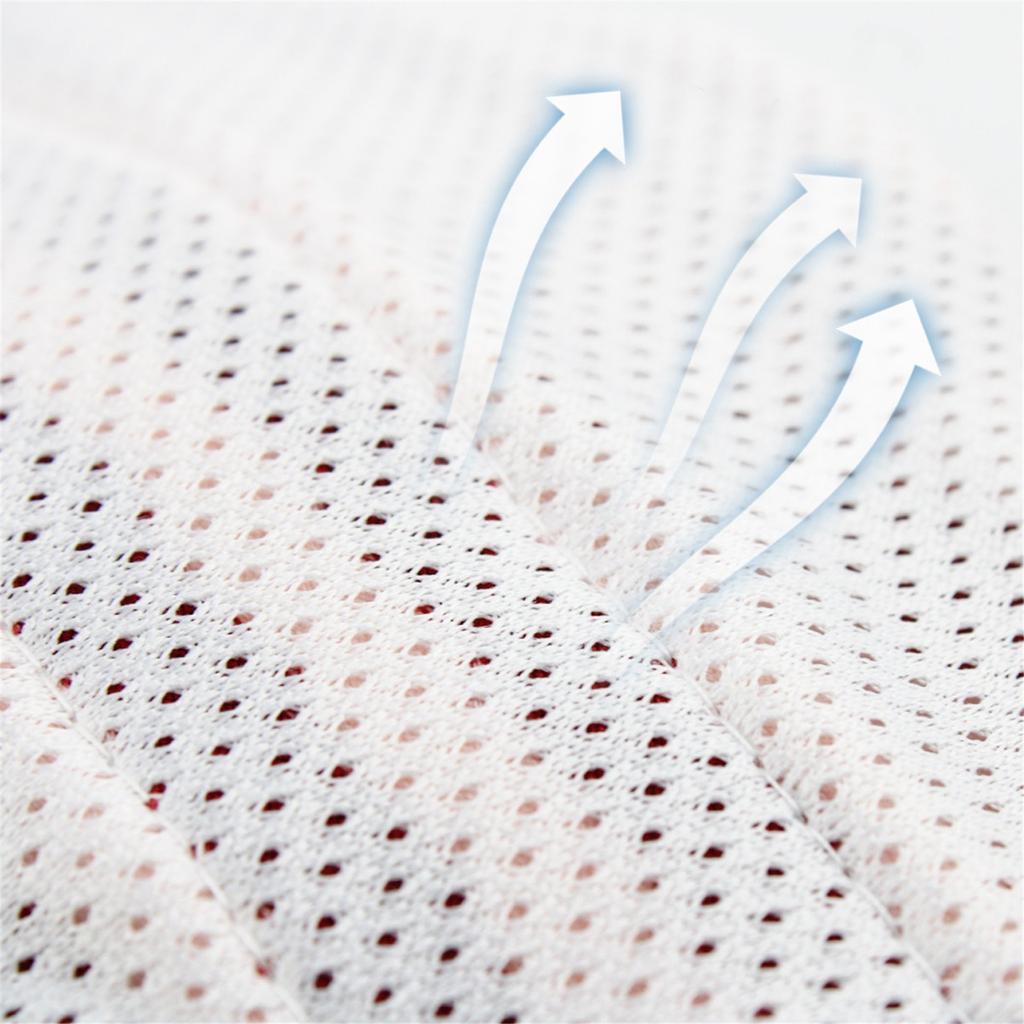 Pet Dog Health Physiology  Menstrual Physiological And Sanitary Pants