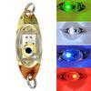 Eye Shape Night Fishing Underwater Fish Lure LED Flashing Light Tackle Tool