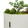 Aroma Diffuser for Essential Oils, Humidifier with Light, Artificial Plant, Music,
