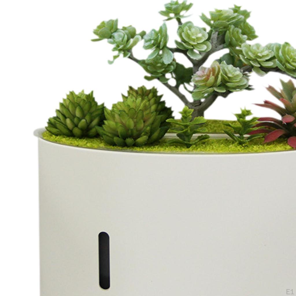 Aroma Diffuser for Essential Oils, Humidifier with Light, Artificial Plant, Music,