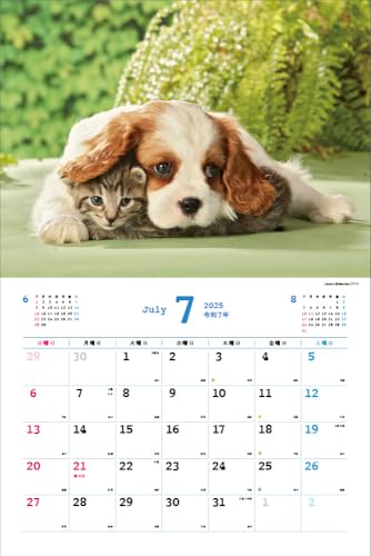 Календарь Накаёши Собаки/Ньян на 2025 год Каждый день – время отдыха > ([Календарь])