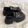 Fashion Commuter Black Retro Thick Heel Platform Small Leather Shoes Women's 2025 New Autumn and Winter One-pedal French Loafers