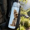 1PC Yorkshire Terrier Puppy Bust 750ml Color Plastic Sports Water Bottle Leakproof Flip Straw Lid For Sports Office Home Use