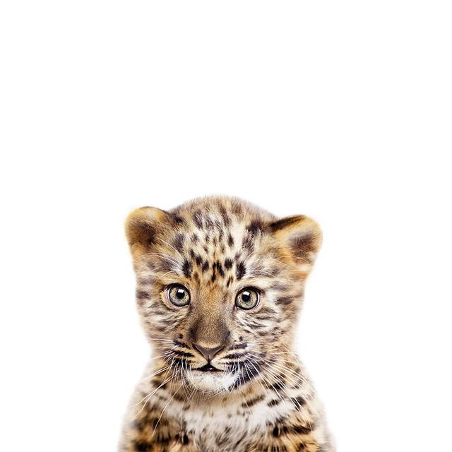 Забавные Милые Кролики Виниловые Наклейки на Автомобиль - Водонепроницаемые и Долговечные