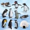 26 шт./компл., имитация полярного животного, реалистичная статуэтка пингвина, лисы, медведя, скульптура, украшение, украшение для детей, образовательная модель животного Антарктиды