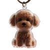 Yousheng Dog Hair Collector Keychain Dog Shape Charm Keychain Memorial Storage Box Transparent Pet Fur Keepsake Capsule Memorial Gift for Pet Lovers