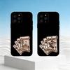 W-Западный Винтажный Чехол Для Телефона Для iPhone 17,16,15,14,13,12,11 Plus,Pro Max,SE4Мягкий Силиконовый Черный Чехол