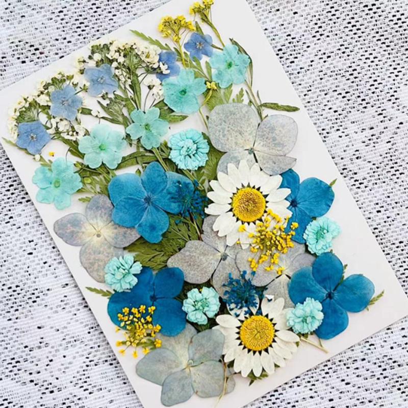 Natural Herbs Kit Dried Pressed Flowers Real Pressed Flowers Dry Leaves Bulk for Scrapbooking DIY Art Crafts Epoxy Jewelry Molds Soap Making
