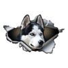 Красивые наклейки на бампер автомобиля Husky для автомобиля, грузовика, фургона, модные наклейки, виниловые наклейки