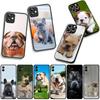 Phone Cover Pet Lovely France Bulldog Dog for Xiaomi Poco F7 F6 F8 Ultra F5 X7 X6 X5 X3 NFC M7 M6 Pro C85 C75 C65 C71 C61 Case