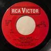7-дюймовая пластинка ARCHIES Sugar Sugar 631008 RCA Victor 1969 Канада Рок Б/у
