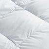 Fang'en FN-B479 White Goose Down Comforter