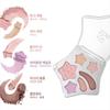 TIPTOE Wish Touch Eye Palette  6 Colors