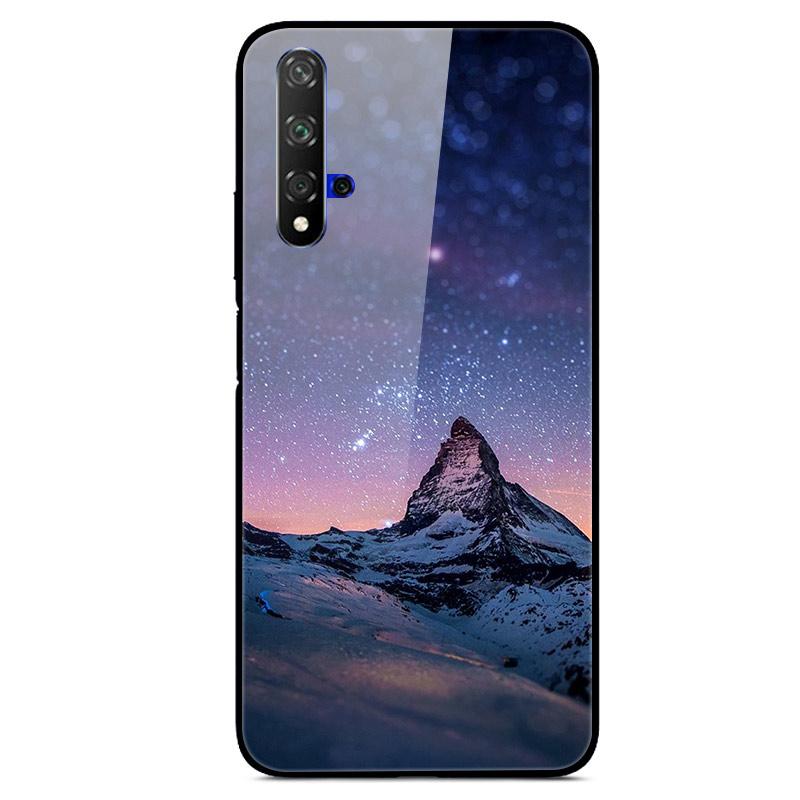 For Huawei Nova 5T Case Tempered Glass Cover 3D Cat Printing Case For Huawei Nova 5T 2019 5 T Phone Case For Huawei Nova5T Cover