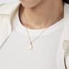 Vermeil Silver Galaxy Necklace / Vermeil Silver Galaxy Necklace / Necklace / 614784510