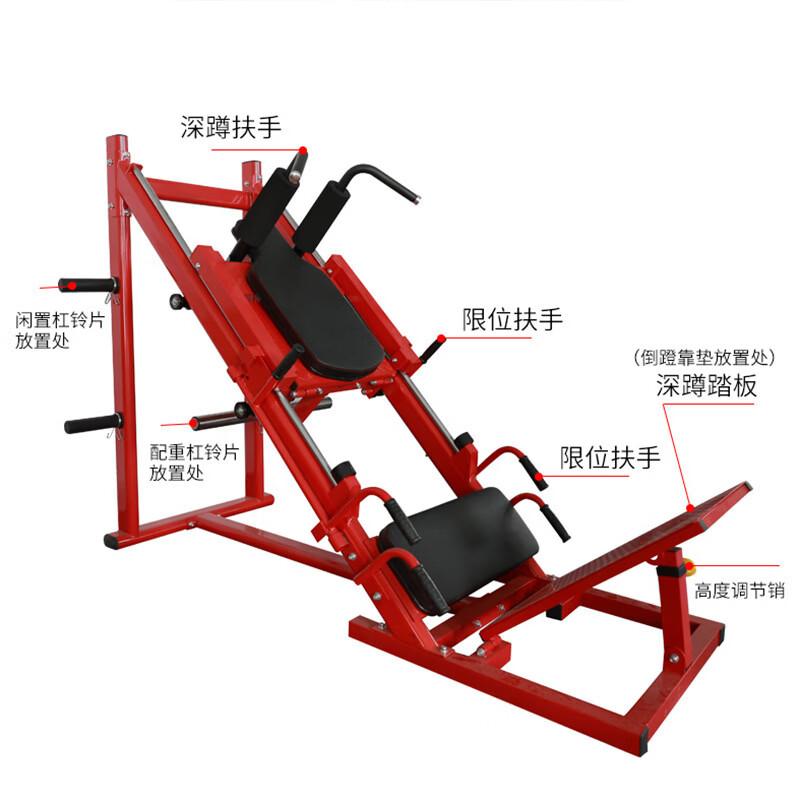 Dual-Function Leg Press & Hack Squat Machine