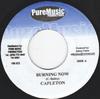 7inch Record CAPLETON / MR. MURPHY - Burning Now / Stamina And Energy PM013 Pure Music Prod 2001 Jamaica Reggae, Ska & Dub Used