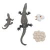 4 Pcs Lizard Life Cycle Toy PVC Realistic Educational Reptile Animal Growth Cycle Toy