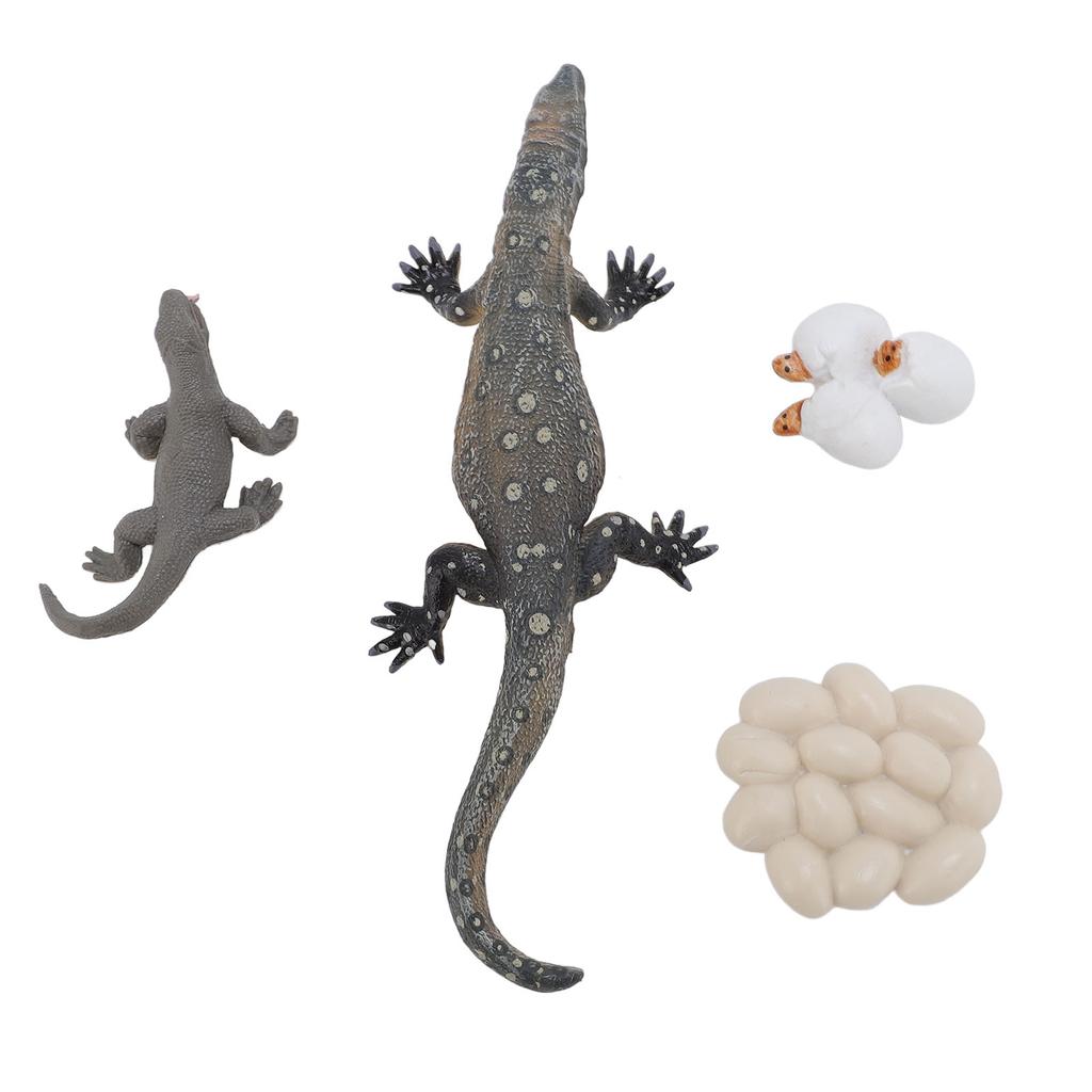 4 Pcs Lizard Life Cycle Toy PVC Realistic Educational Reptile Animal Growth Cycle Toy