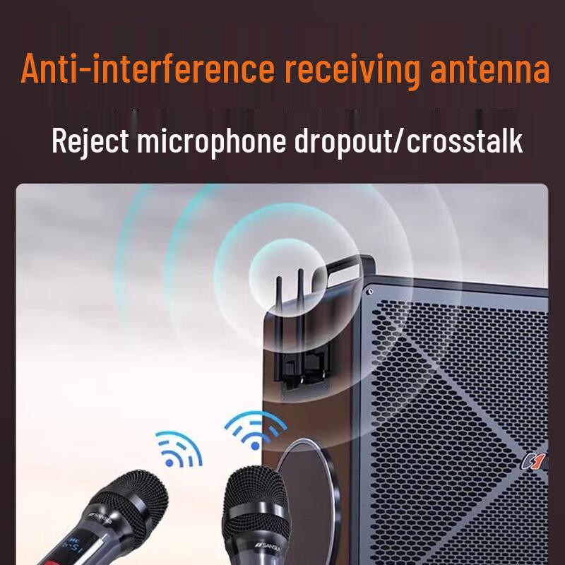 Sansui C1 Portable Home KTV Speaker System