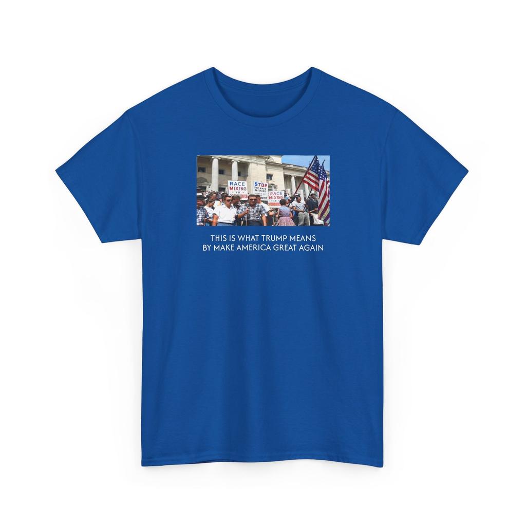 Protest Integration Unisex Tee, Civil Rights Movement Shirt, Little Rock 1959