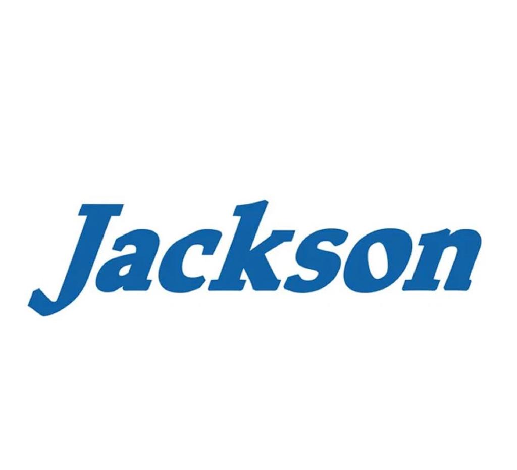 Jackson Artist FR 95HW Тонущая приманка Minnow SBA (6965)