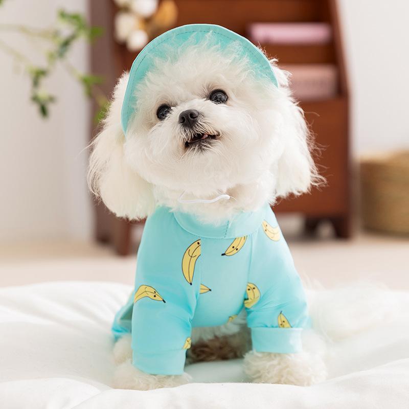 Fruit Full Print Four-legged Dog Going Out Sunscreen Cooling Cool Clothes Spring and Summer Thin Pet Dog Dog Clothes
