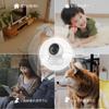 EZVIZ Pet Monitoring Surveillance Security Indoor 24 Answering 1080P 360 градусов Smart Remote Care Animal Baby инфракрасный ночной датчик движения Автоматический