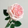 Simulation feel moisturizing Austin rose, home decoration living room ornament fake flower