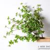 Pierisjaponica Simulated Green Plant Landscape Simulation Tree Decoration Indoor