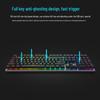 Rapoo V700RGB Alloy Wired Mechanical Keyboard