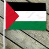 10/20/50/100Pcs Palestine Mini Flags with Pole Hand Held Small Palestine Stick Flags Miniature Hand Waving Flags