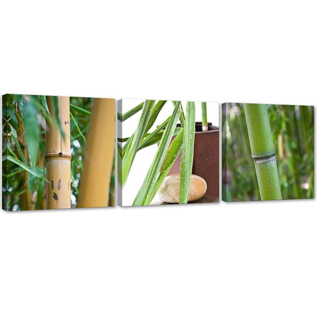 Set of Three Pictures Canvas Print Bamboo Zen Spa