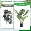 1/3/6Pcs Plant Stem Support Holder Heavy Duty Indoor Outdoor Monstera Plant Support Rack Growing Climbing Plants Fixing Stabilization Clamp