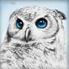 Full 5D Diy Diamond Painting Cartoon Animal Owl Mosaic Embroidery Cross Stitch Home Decor Handmade